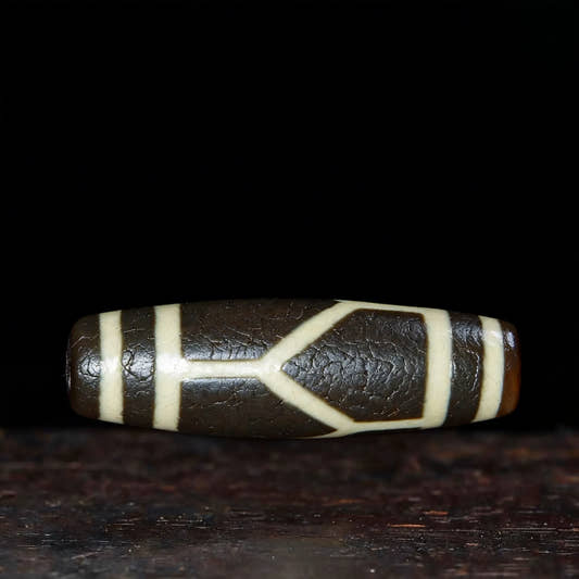 Longevity Tortoise Dzi Bead Meaning: Benefits, Symbolism & How to Use