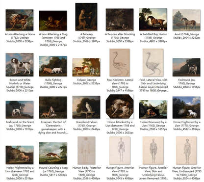 62 Painting Images by George Stubbs English, 1724-1806 - Tibetan Buddhist thangka, front view