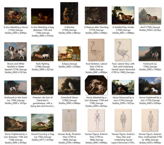 62 Painting Images by George Stubbs English, 1724-1806 - Tibetan Buddhist thangka, front view