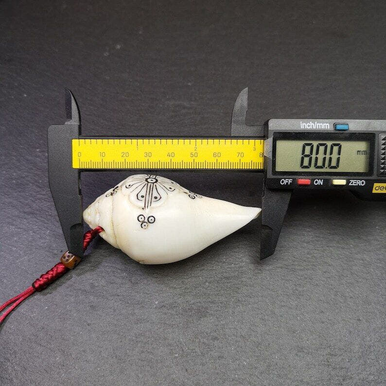 White Conch Shankha 3.15" - Tibetan Buddhist art, view 8