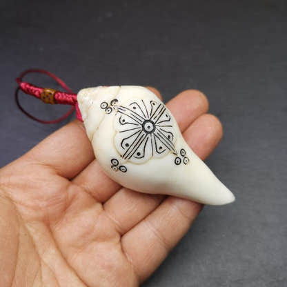 White Conch Shankha 3.15" - Tibetan Buddhist art, view 7
