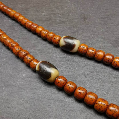 Tiger Tooth Dzi Spacer Marker Beads 0.4" - Tibetan dzi bead, front view