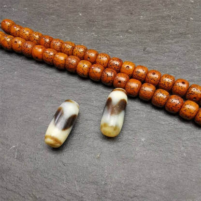 Tiger Tooth Dzi Spacer Marker Beads 0.32" - Tibetan dzi bead, view 5