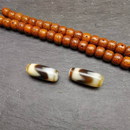 Tiger Tooth Dzi Spacer Marker Beads 0.32" - Tibetan dzi bead, view 4