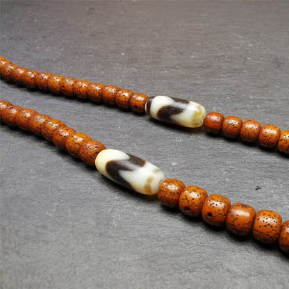 Tiger Tooth Dzi Spacer Marker Beads 0.32" - Tibetan dzi bead, front view