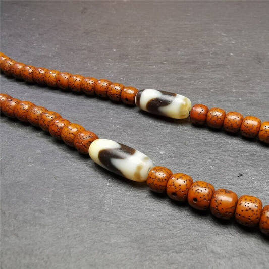 Tiger Tooth Dzi Spacer Marker Beads 0.32" - Tibetan dzi bead, front view