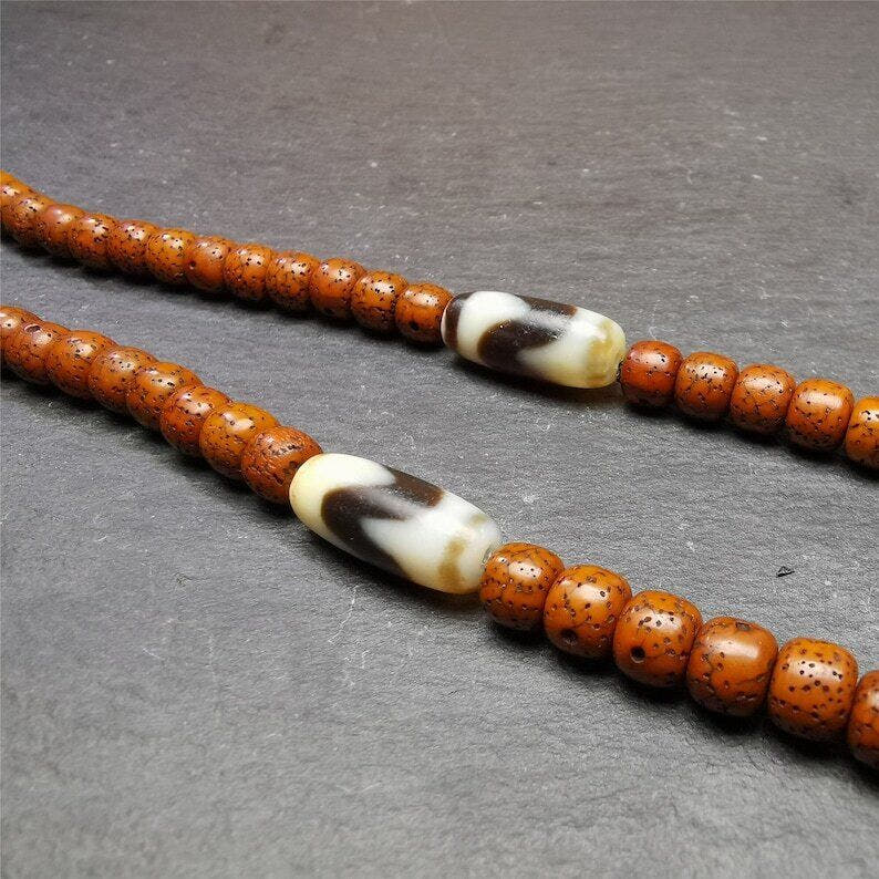 Tiger Tooth Dzi Spacer Marker Beads 0.32" - Tibetan dzi bead, front view