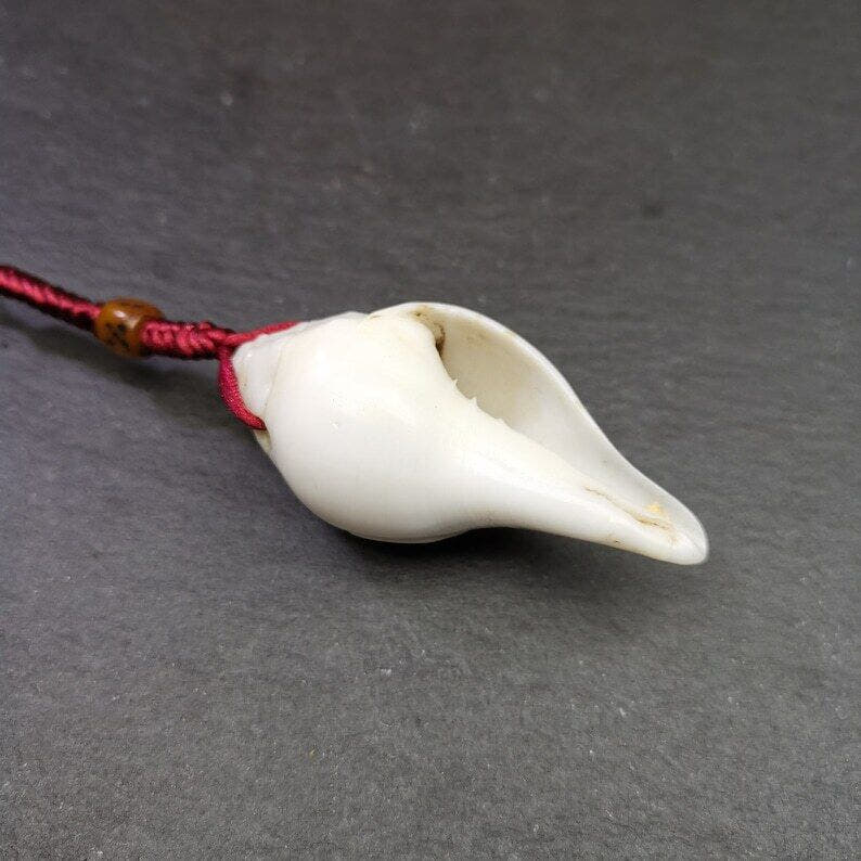 White Conch Shankha 2.36" - Tibetan Buddhist art, view 5