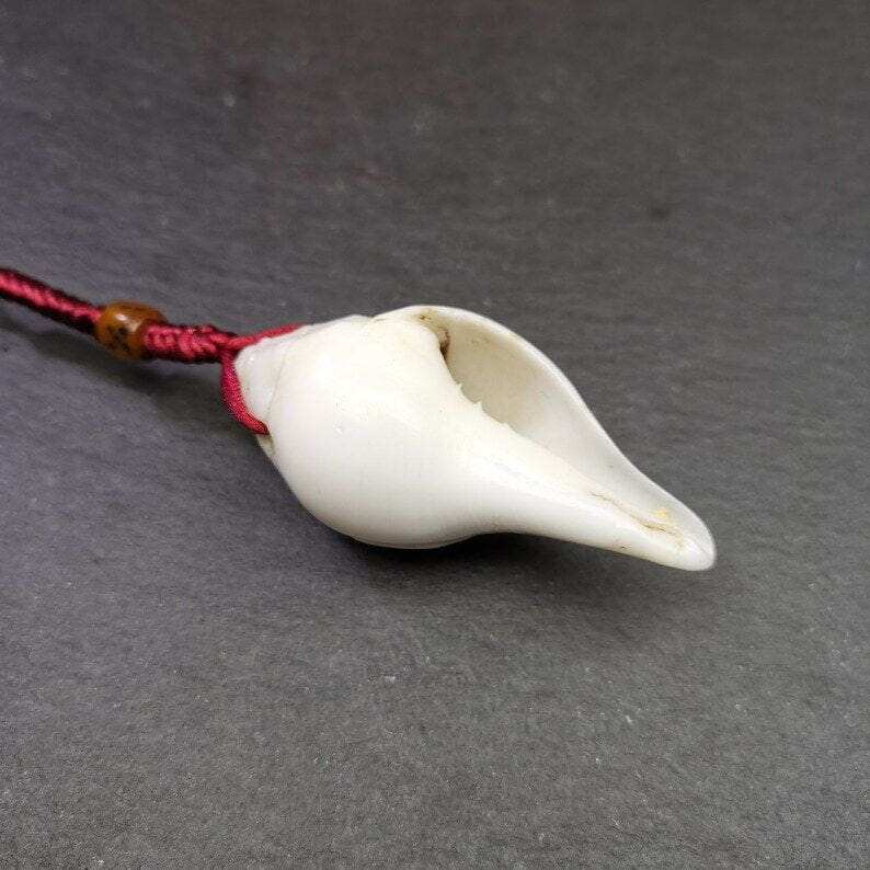 White Conch Shankha 2.36" - Tibetan Buddhist art, view 5