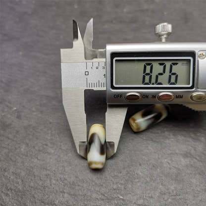 Tiger Tooth Dzi Spacer Marker Beads 0.32" - Tibetan dzi bead, size reference