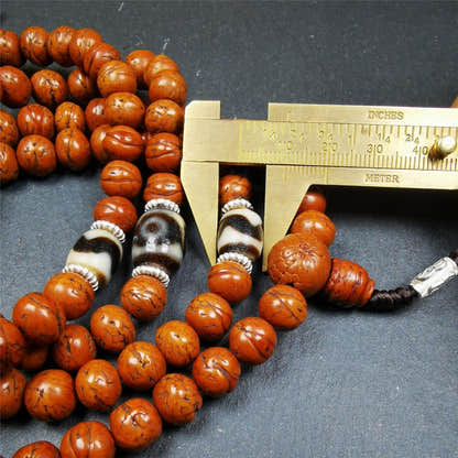 Bodhi Seed Mala,40" - Tibetan Buddhist mala beads, view 13