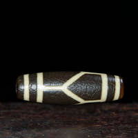 Longevity Tortoise Dzi