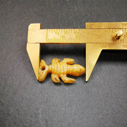 Bone Scorpion Amulet 1.2" - Tibetan Buddhist amulet, view 10
