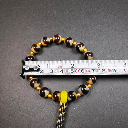 Tiger Tooth Dzi Bead Bracelet 0.4" / 8.7" - Tibetan Buddhist bead necklace, view 10
