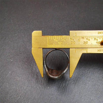 Gold Shankha Conch Ring 0.87" - Tibetan Buddhist art, size reference