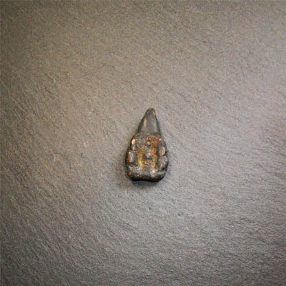Old Scorpion Guru Amulet 0.95" - Tibetan Buddhist amulet, view 4