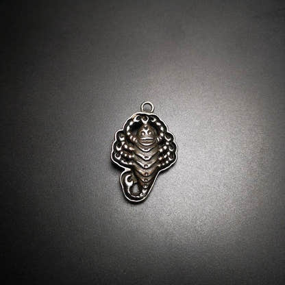 Amulet,Scorpion Guru of Padmasambhava - Tibetan Buddhist amulet, view 5