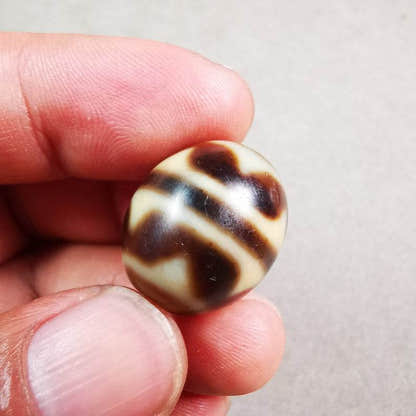 Tiger Tooth Dalo Dzi Bead - Tibetan dzi bead, view 8