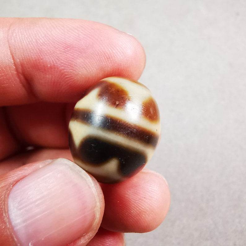 Tiger Tooth Dalo Dzi Bead - Tibetan dzi bead, view 9