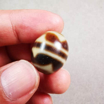 Tiger Tooth Dalo Dzi Bead - Tibetan dzi bead, size reference