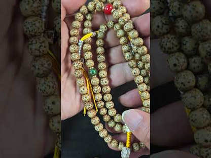Authentic 7+mm Lotus Seed Necklace Mala: Old Tibetan Rosary 108 Prayer Beads